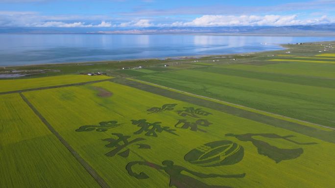 青海湖