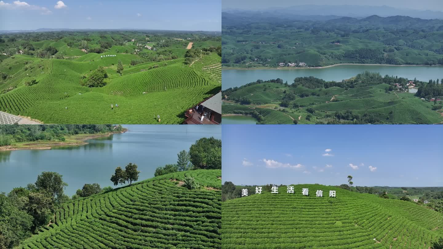 浉河港茶山文新素材合集