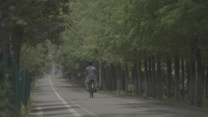绿道骑自行车