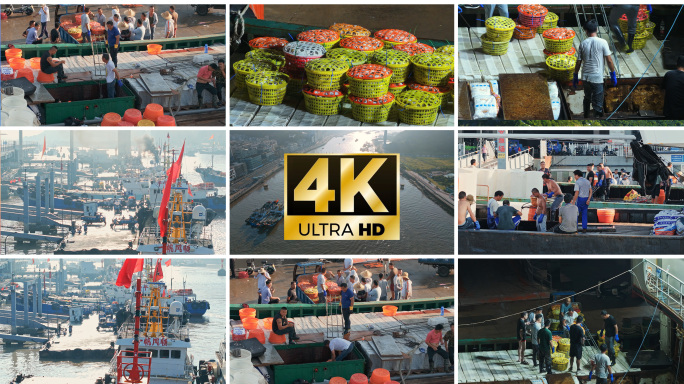 渔船收获舟山国际海鲜水产码头卸货螃蟹