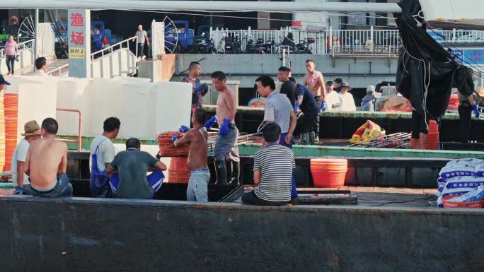 渔船收获舟山国际海鲜水产码头卸货螃蟹