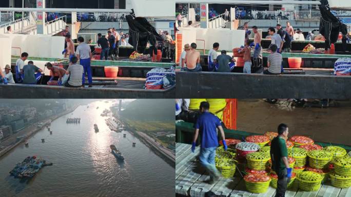 渔船收获舟山国际海鲜水产码头卸货螃蟹
