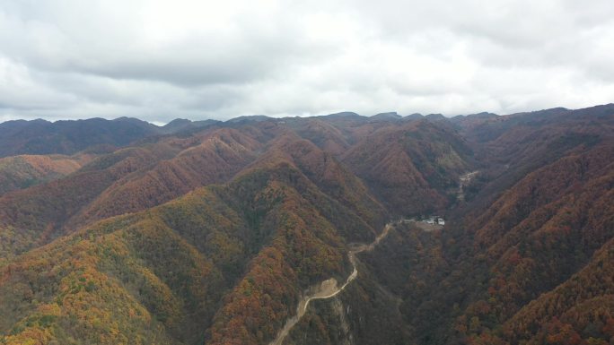 广元米仓山红叶