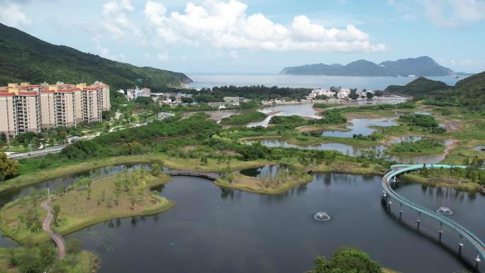 【正版素材】深圳东涌红树林湿地园