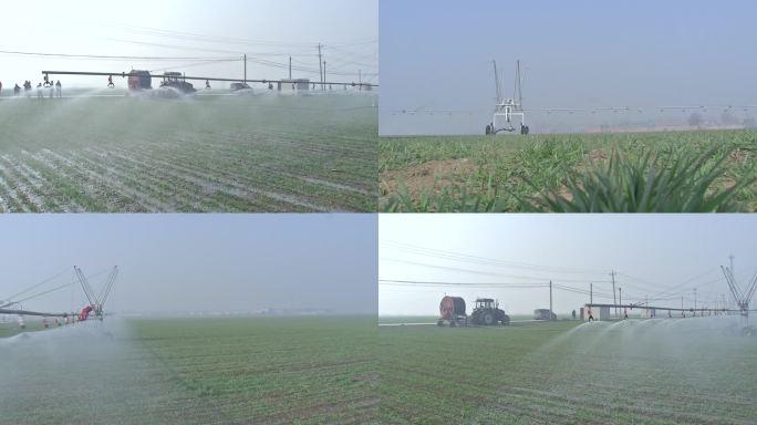 小麦 机械化 现代化 农业 喷灌