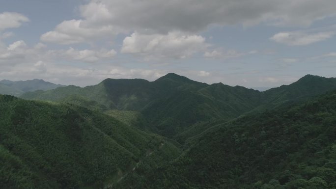 X浙江温州泰顺县乌岩岭航拍03