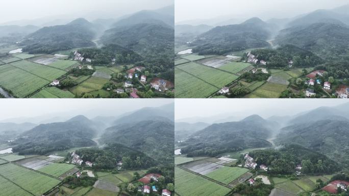 雨后云雾缭绕的田园山庄