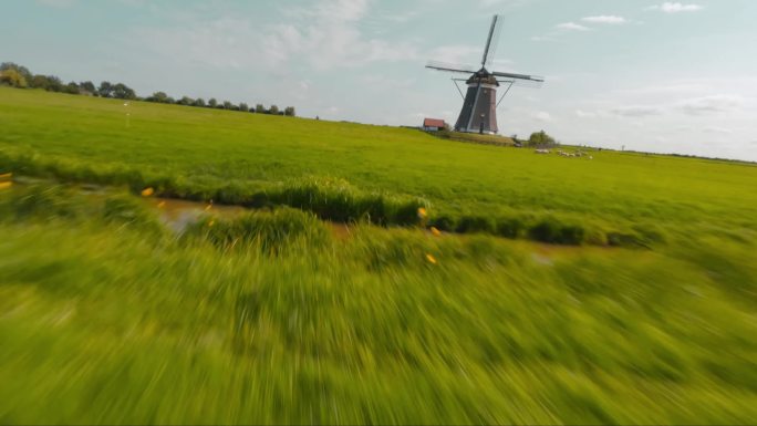 FPV无人机航拍荷兰风车羊群农场牧场草地