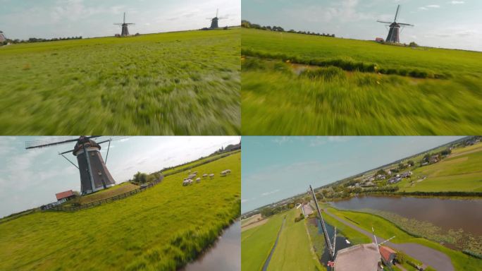 FPV无人机航拍荷兰风车羊群农场牧场草地
