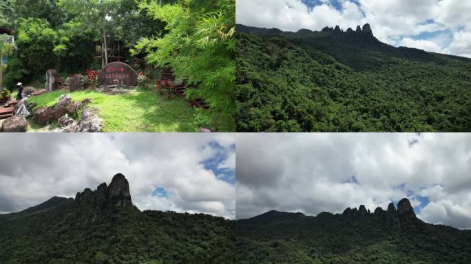 海南保亭七仙岭航拍热带雨林风光