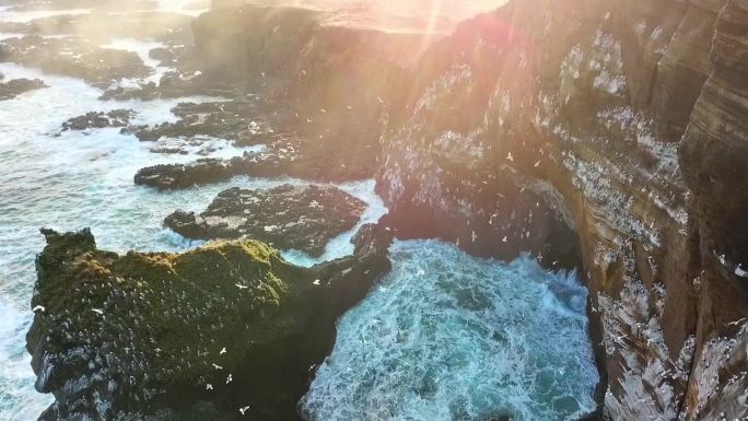 冰岛海蚀柱群日落美景 海鸥 悬崖