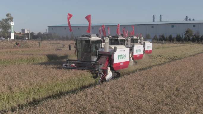 水稻自动化收割