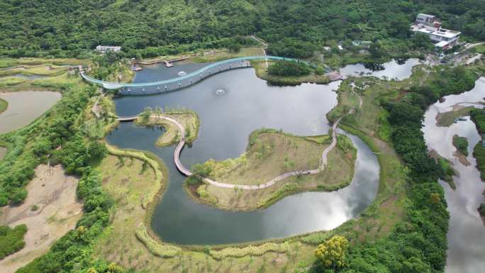 【正版素材】深圳东涌红树林湿地园