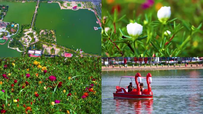 秋日美景游船湖面花温馨航拍湖面景区