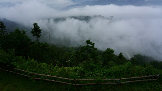 高山云海