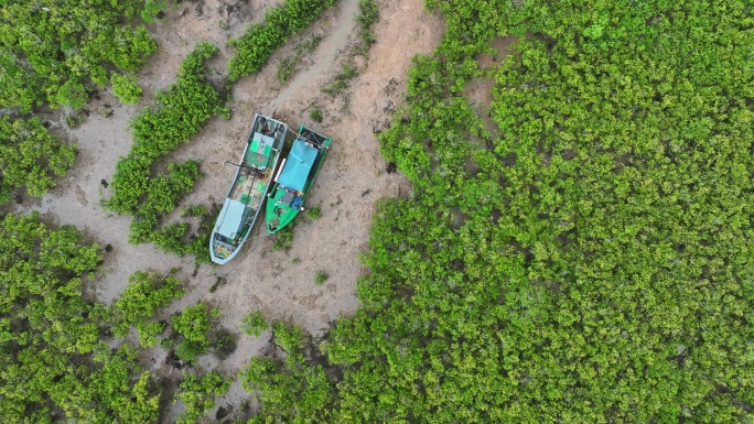 4k湛江乐民港红树林滩涂湿地保护区航拍