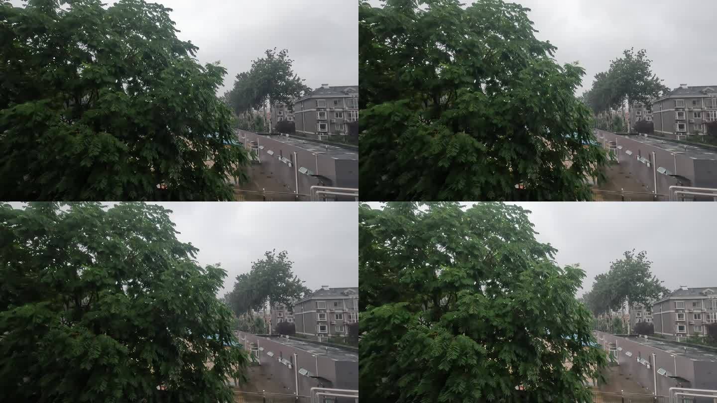 窗外雨景