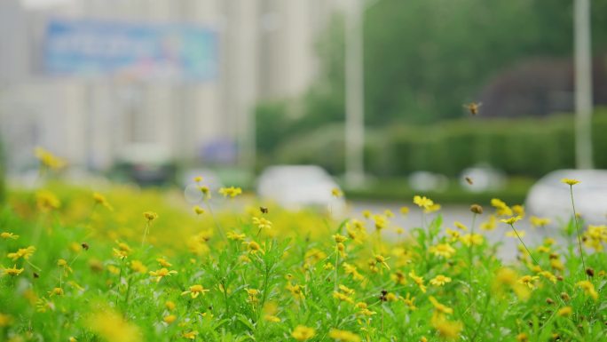 记录片新闻空镜头素材