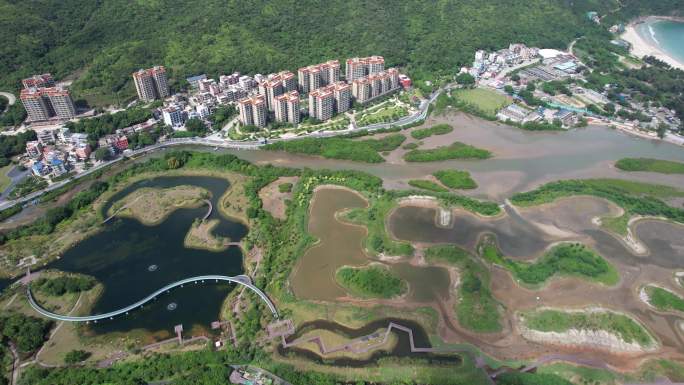 【正版素材】深圳东涌红树林湿地园