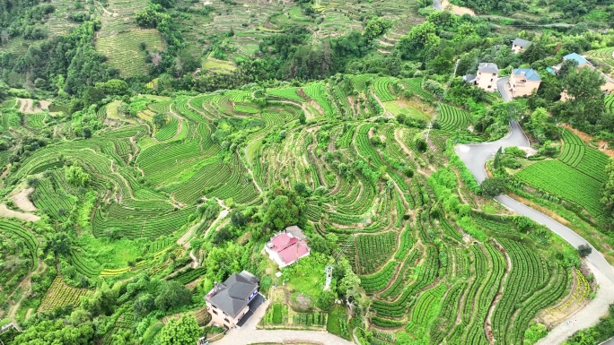 航拍浙江丽水云和梯田农业旅游乡村田园风景