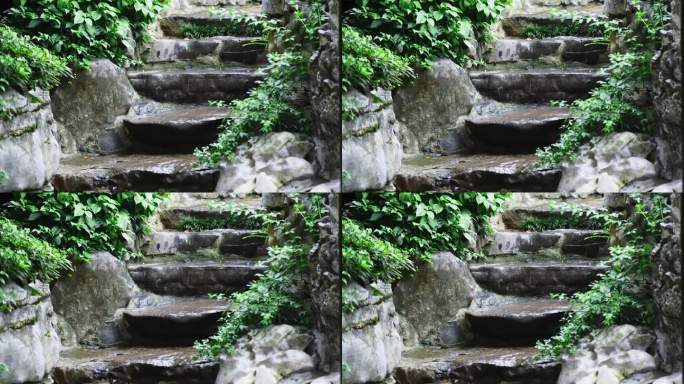 传统园林内石台阶