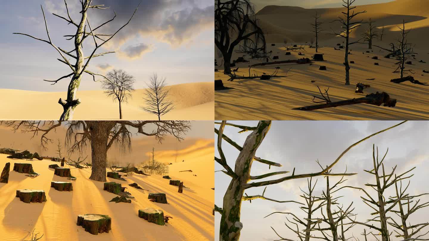 干旱贫瘠的沙漠枯树和树桩