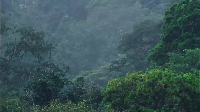 山上打雷下雨