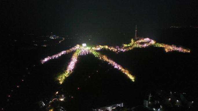 航拍饶平县夜景