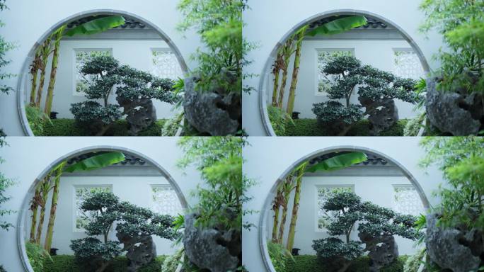 中式园林花园里的植物树和竹子
