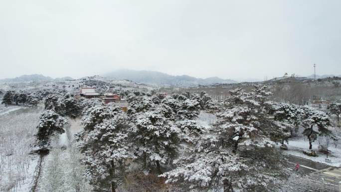 清西陵雪-慕陵雪景