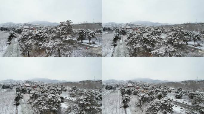 清西陵雪-慕陵雪景