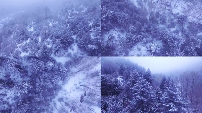 山西方山县梅洞沟森林公园雪景航拍1 WJ