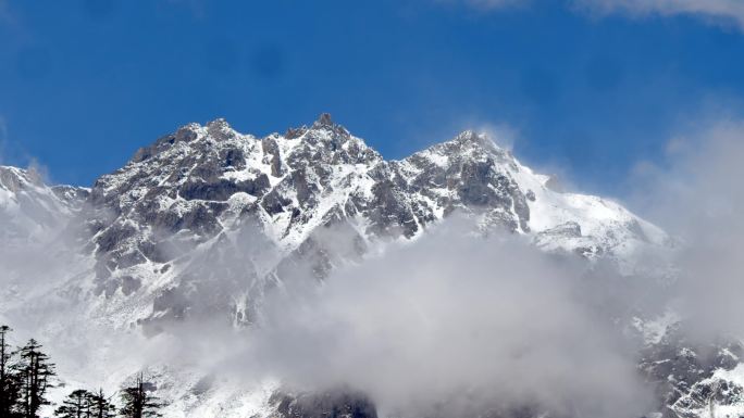 雪山森林