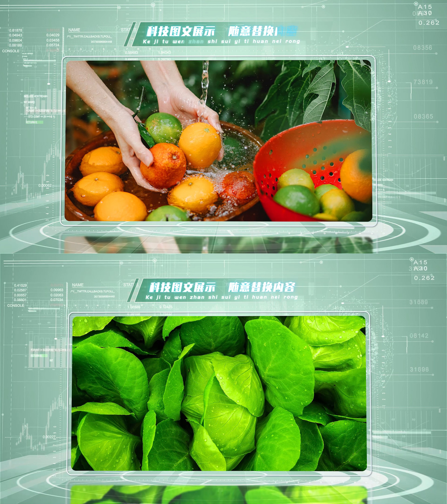 绿色生态农业图文介绍照片展示模板
