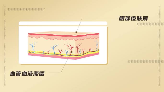 AE眼部讲解mg动画