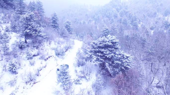 山西方山县梅洞沟森林公园雪景航拍2 WJ