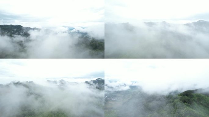 云雾仙境