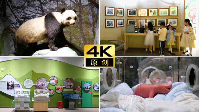 中国卧龙大熊猫博物馆