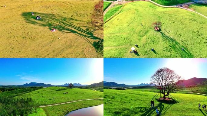 4k60田野牧场树下露营春天秋天旅游文旅