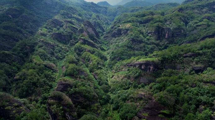 【5K】武夷山航拍茶园慧苑坑景区