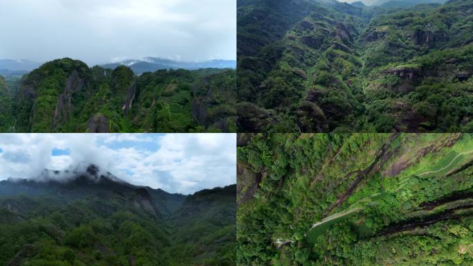 【5K】武夷山航拍茶园慧苑坑景区