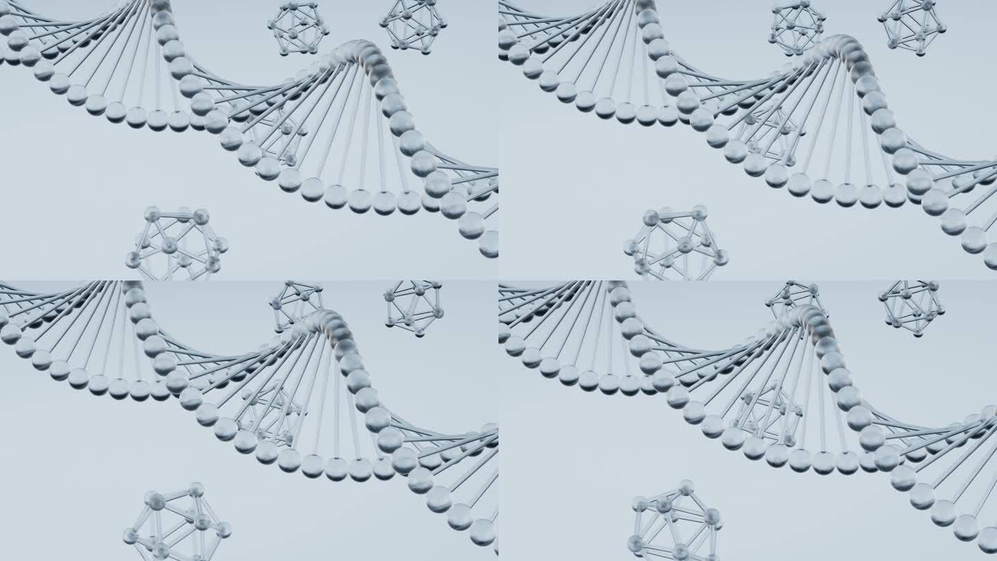 DNA 分子