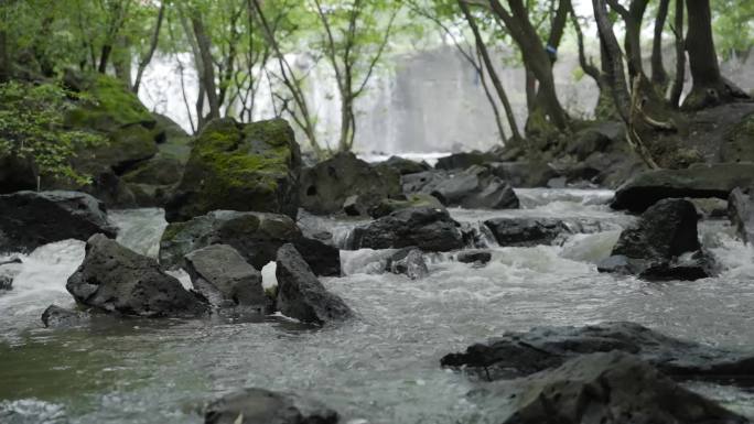 小溪流水视频 唯美空镜