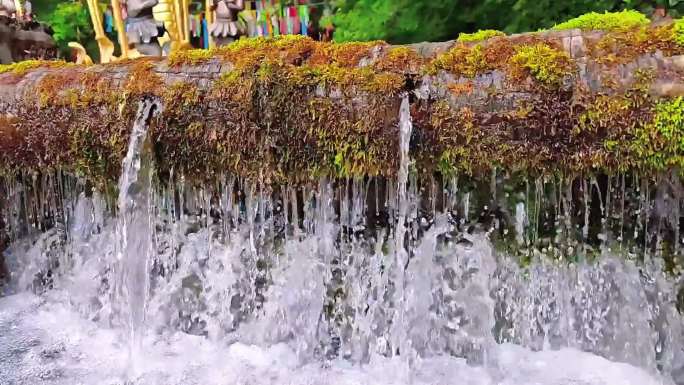 丽江玉水山寨 水之源 山泉水