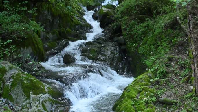 [可商用]4K原生态大气森林山水