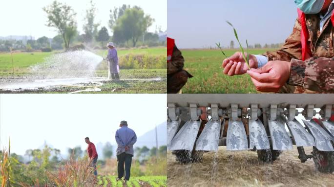 小麦灌溉施肥浇水机械化乡村振兴