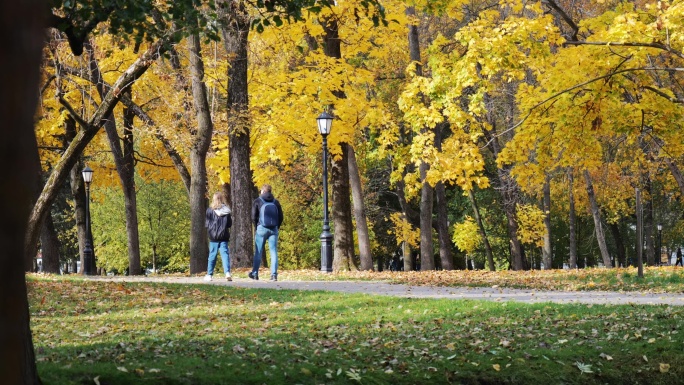 秋天的公园步道素材