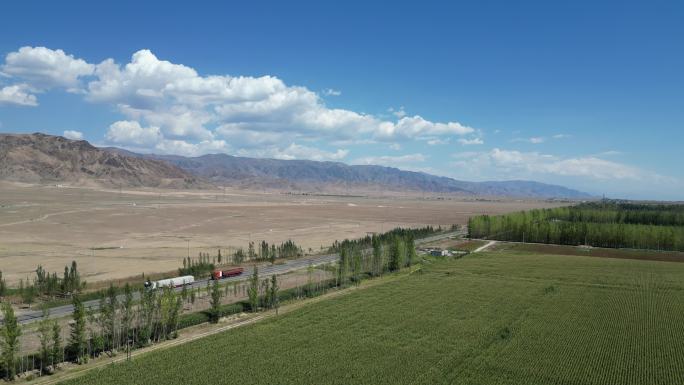 新疆草原草场农业