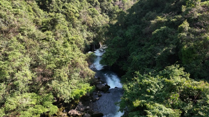 贵州茂兰自然生态碧水溪流俯拍航拍4K