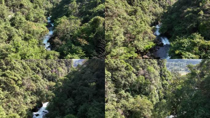 贵州茂兰自然生态碧水溪流俯拍航拍4K